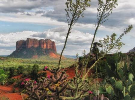 Visit Sedona