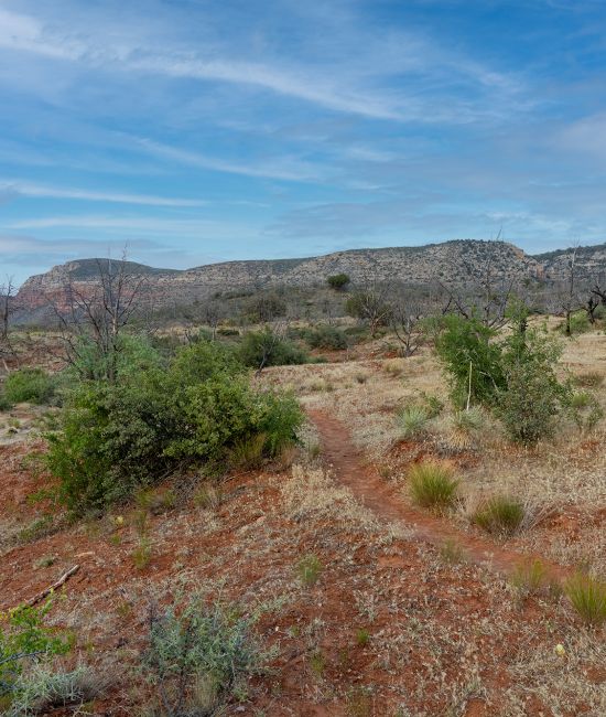 Jacks Canyon Trail