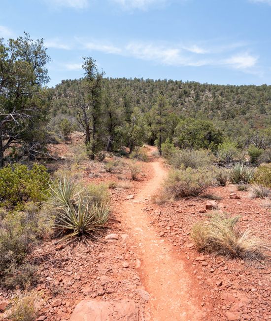 Schuerman Mountain Trail