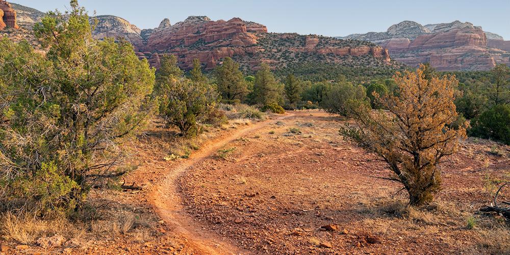 Arie Trail