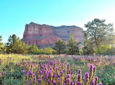 Visit Sedona