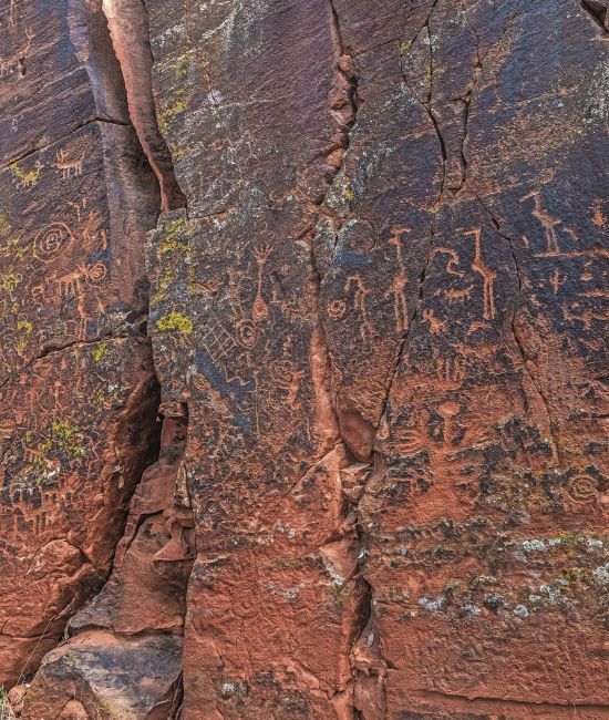 Crane Petroglyph