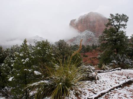 Visit Sedona