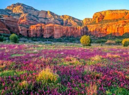 Visit Sedona