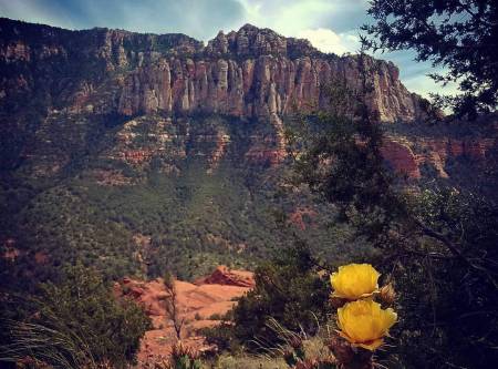 Visit Sedona