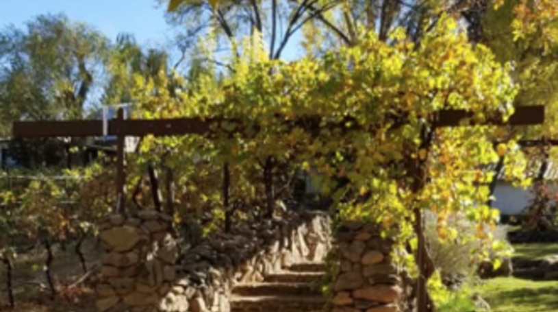 

			
				Page Springs Vineyard & Cellars
			
			
	